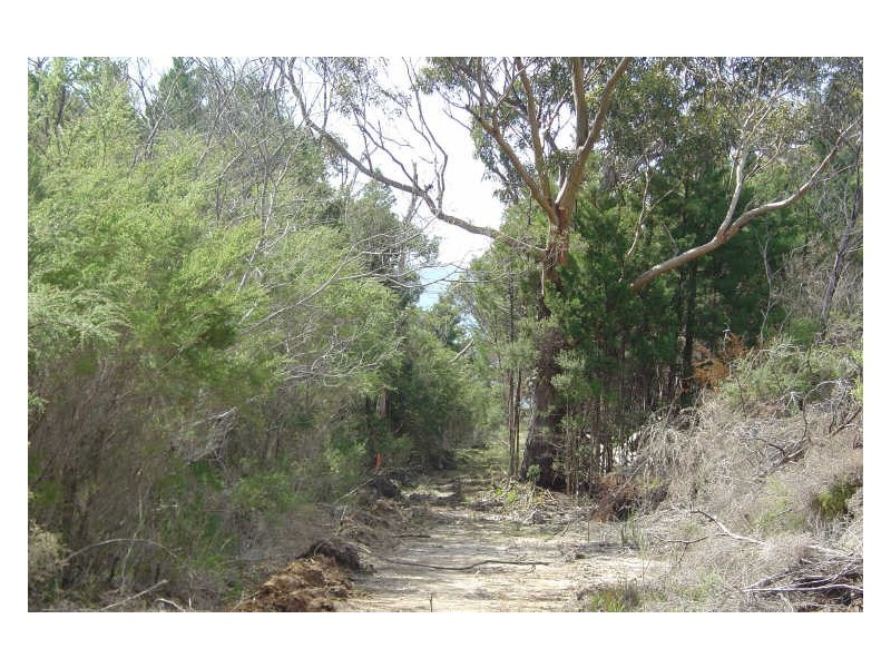 231 Harveys Farm Road, Bicheno TAS 7215