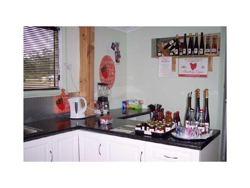 16494 Tasman Hwy, Bicheno TAS 7215