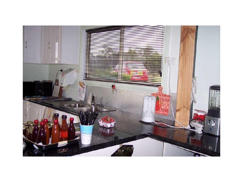 16494 Tasman Hwy, Bicheno TAS 7215