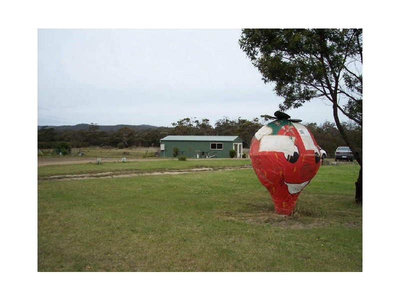 16494 Tasman Hwy, Bicheno TAS 7215