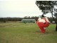 16494 Tasman Hwy, Bicheno TAS 7215