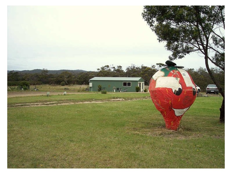 16494 Tasman Hwy, Bicheno TAS 7215