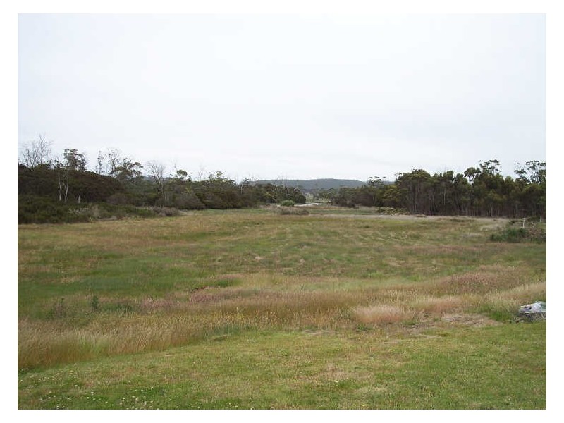 16494 Tasman Hwy, Bicheno TAS 7215