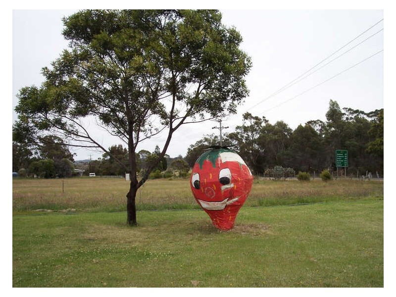 16494 Tasman Hwy, Bicheno TAS 7215