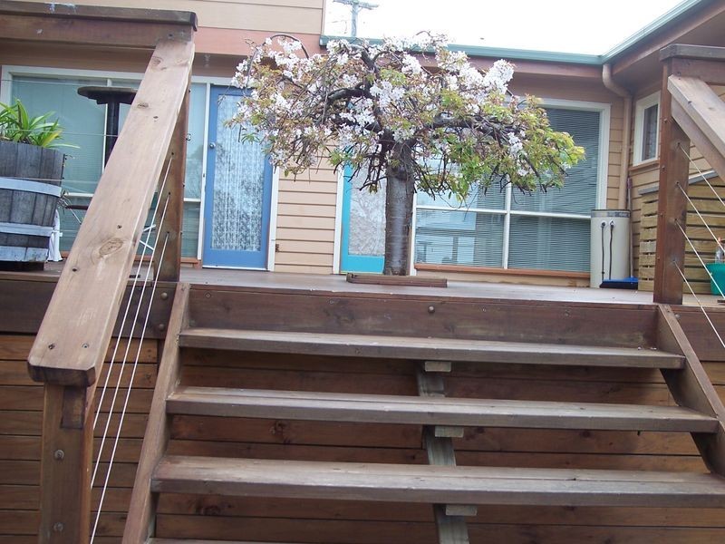 1-13 Weily Avenue, Bicheno TAS 7215