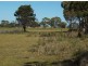 Lot1/19595 Tasman Hwy., Seymour TAS 7215