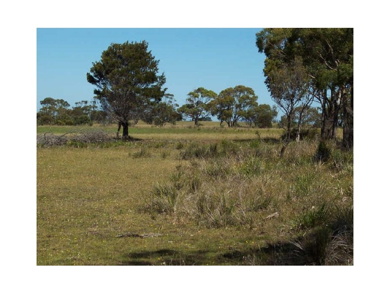 Lot1/19595 Tasman Hwy., Seymour TAS 7215