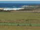 Lot1/19595 Tasman Hwy., Seymour TAS 7215