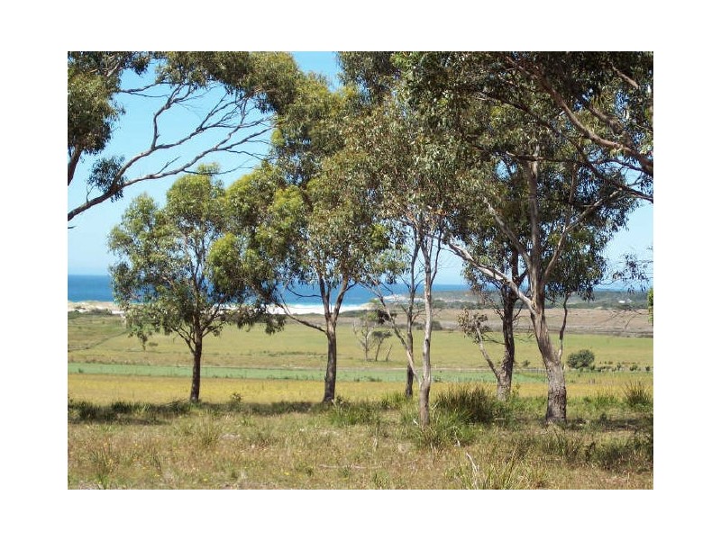 Lot1/19595 Tasman Hwy., Seymour TAS 7215