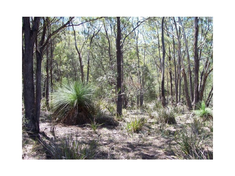 Lot1/19595 Tasman Hwy., Seymour TAS 7215