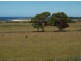 Lot1/19595 Tasman Hwy., Seymour TAS 7215