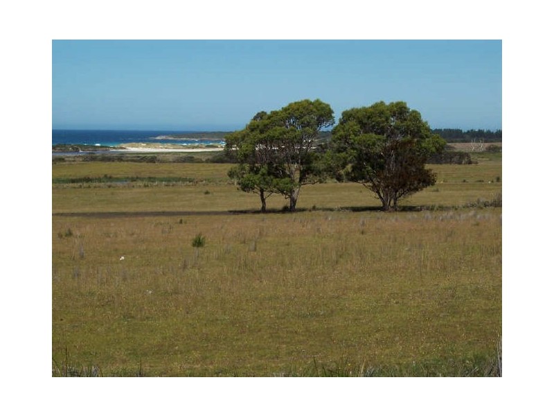 Lot1/19595 Tasman Hwy., Seymour TAS 7215