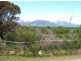 1490 Dolphin Sands Rd, Dolphin Sands TAS 7190