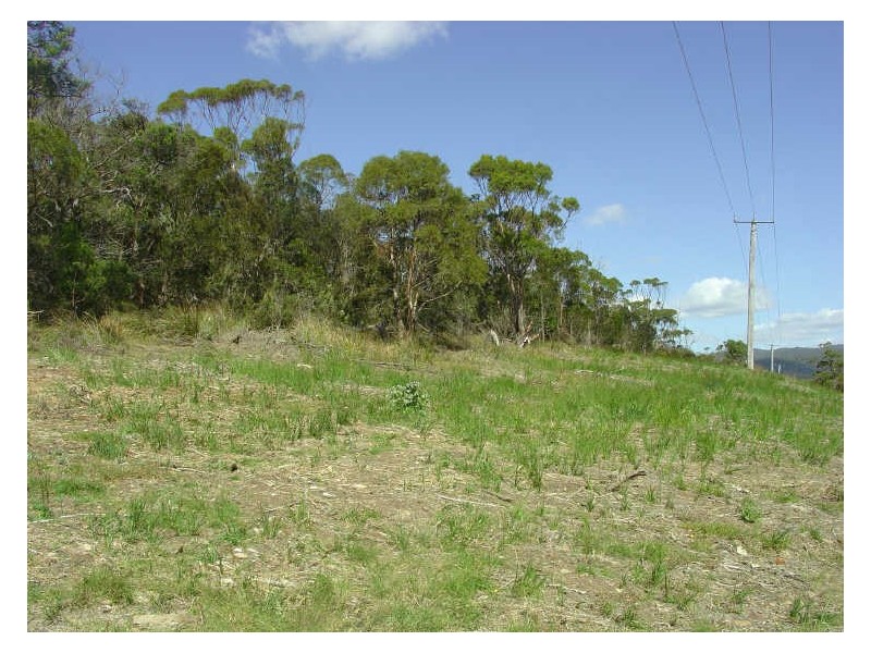 P 13 Tasman Highway, Bicheno TAS 7215