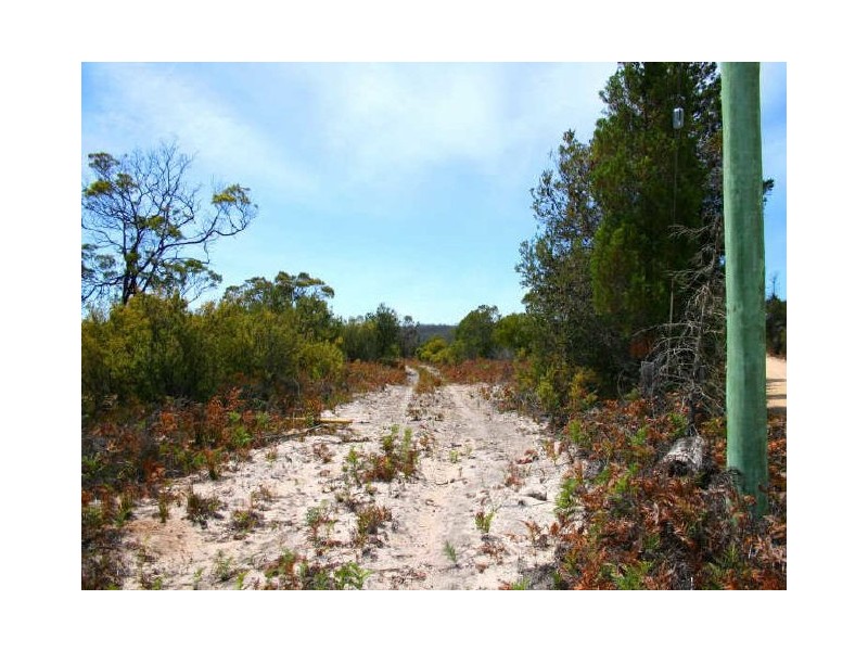 P54 Coles Bay  Road, Coles Bay TAS 7215