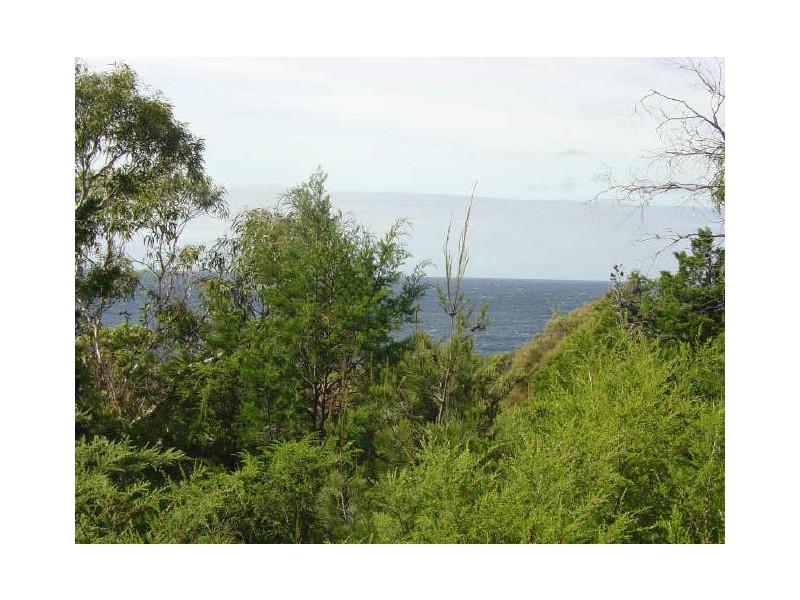 Lot 4 Esplanade, Bicheno TAS 7215