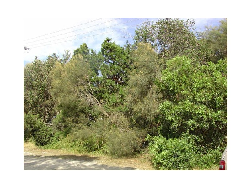 Lot 4 Esplanade, Bicheno TAS 7215