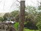 21 (Lot3) Esplanade, Bicheno TAS 7215
