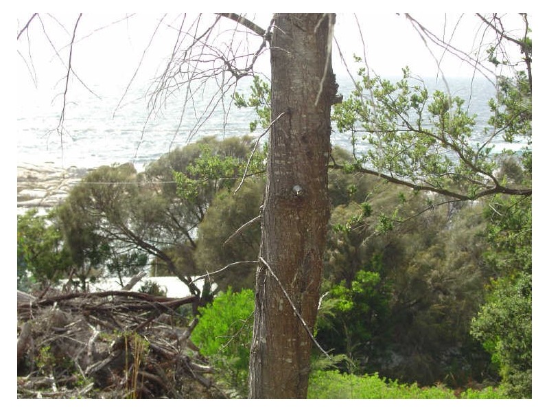 21 (Lot3) Esplanade, Bicheno TAS 7215