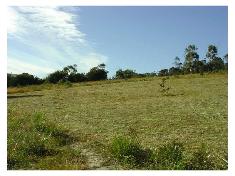 9 Denison Court, Bicheno TAS 7215