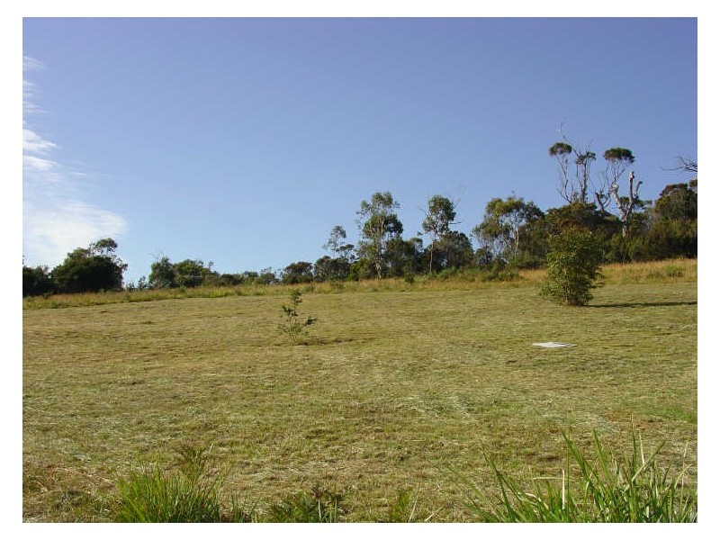 9 Denison Court, Bicheno TAS 7215