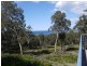 232 Harveys Farm Road, Bicheno TAS 7215