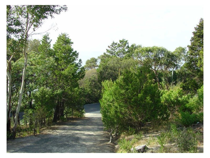 13 Esplanade, Bicheno TAS 7215