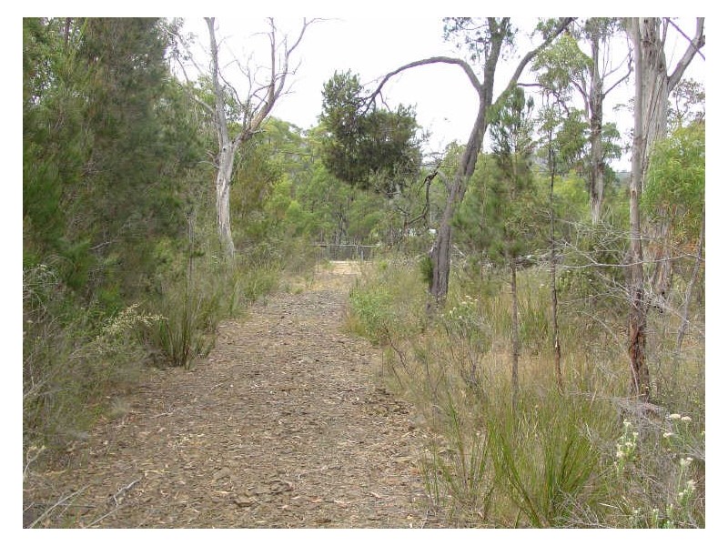 90 Suncoast Drive, Bicheno TAS 7215