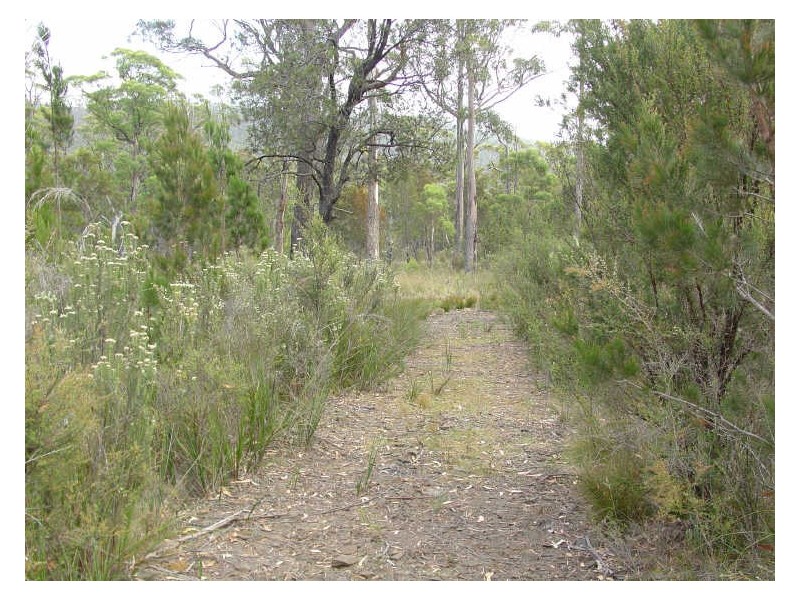 90 Suncoast Drive, Bicheno TAS 7215