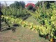 13569 Tasman Highway, Swansea TAS 7190