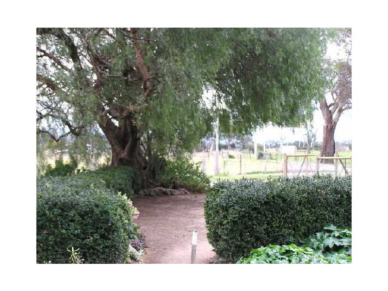 13569 Tasman Highway, Swansea TAS 7190