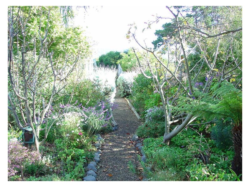 3 Old Tram Road, Bicheno TAS 7215