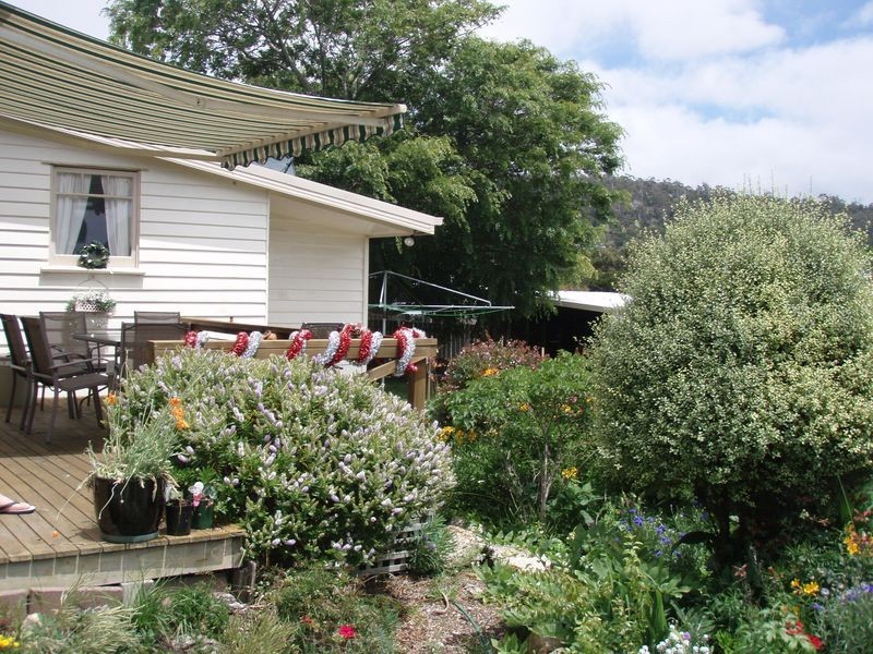 3 Old Tram Road, Bicheno TAS 7215