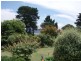 3 Old Tram Road, Bicheno TAS 7215