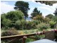 3 Old Tram Road, Bicheno TAS 7215