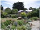 3 Old Tram Road, Bicheno TAS 7215