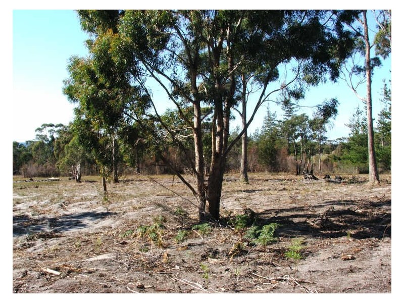 RA 140 Harveys Farm Road, Bicheno TAS 7215