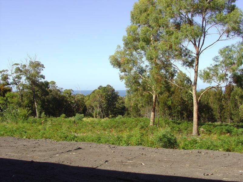 116 Harveys Farm Road, Bicheno TAS 7215