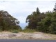 14 Cosgrove Street, Coles Bay TAS 7215