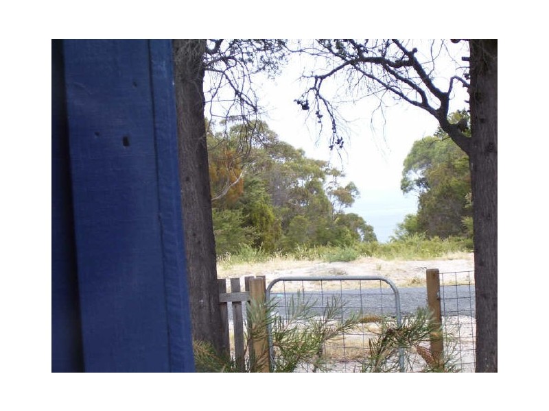 14 Cosgrove Street, Coles Bay TAS 7215