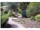 2 Muirs Place, Coles Bay TAS 7215
