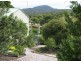2 Muirs Place, Coles Bay TAS 7215