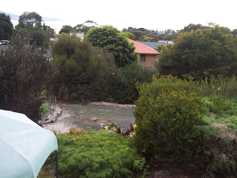 16 Tribe Street, Bicheno TAS 7215