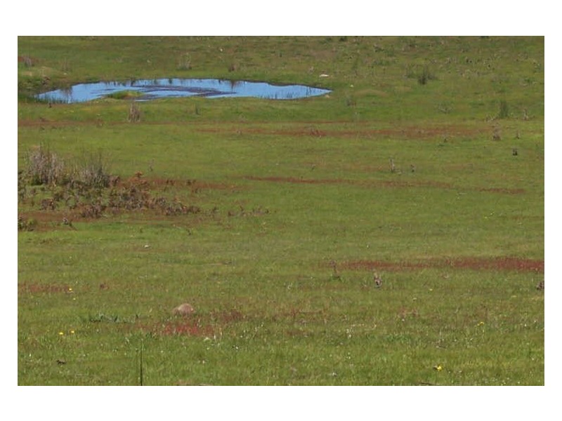 Lot  1 Coles Bay Road, Coles Bay TAS 7215