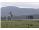 9 Champ Street, Seymour TAS 7215