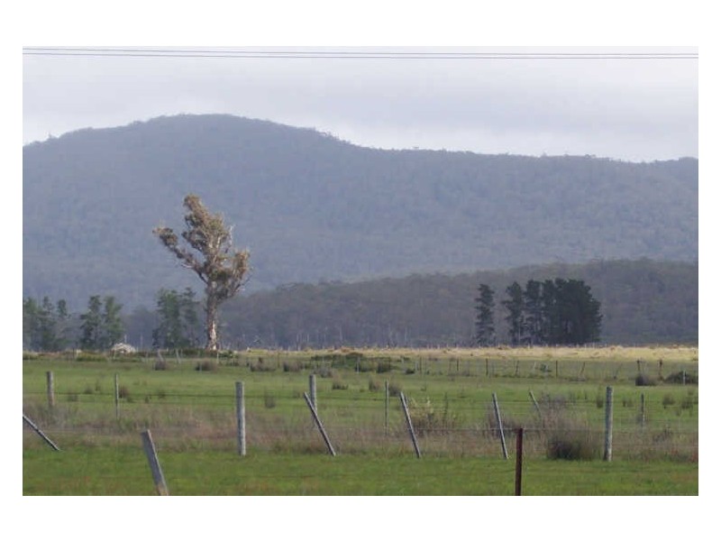 9 Champ Street, Seymour TAS 7215