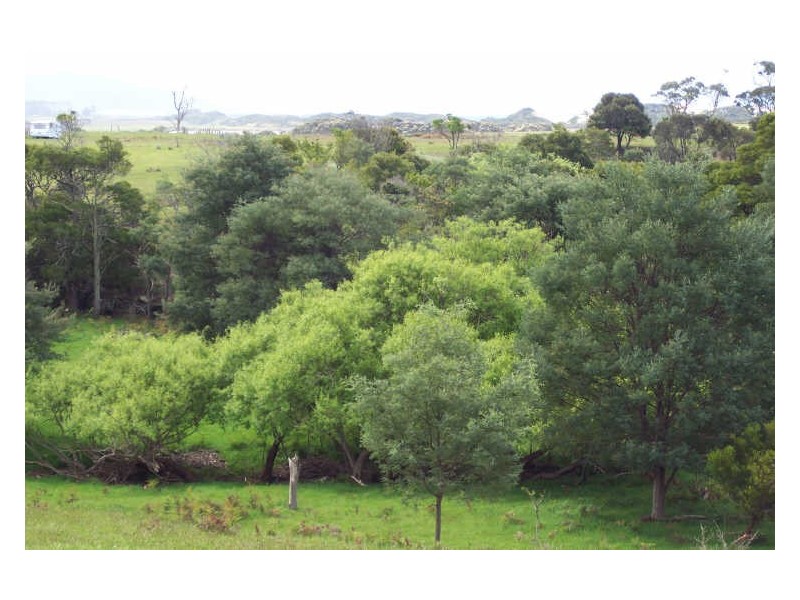 9 Champ Street, Seymour TAS 7215