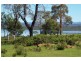 Lot  1 Coles Bay Road, Coles Bay TAS 7215