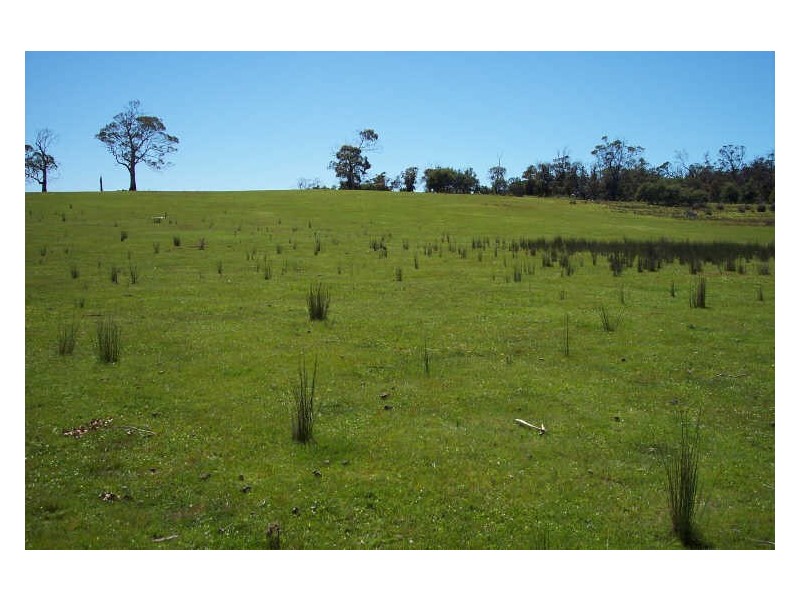 Lot  1 Coles Bay Road, Coles Bay TAS 7215