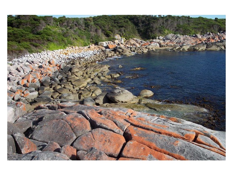 Lot 2 Forster Street, Seymour TAS 7215